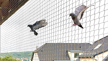 pigeon nets for balconies

